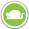 rodent